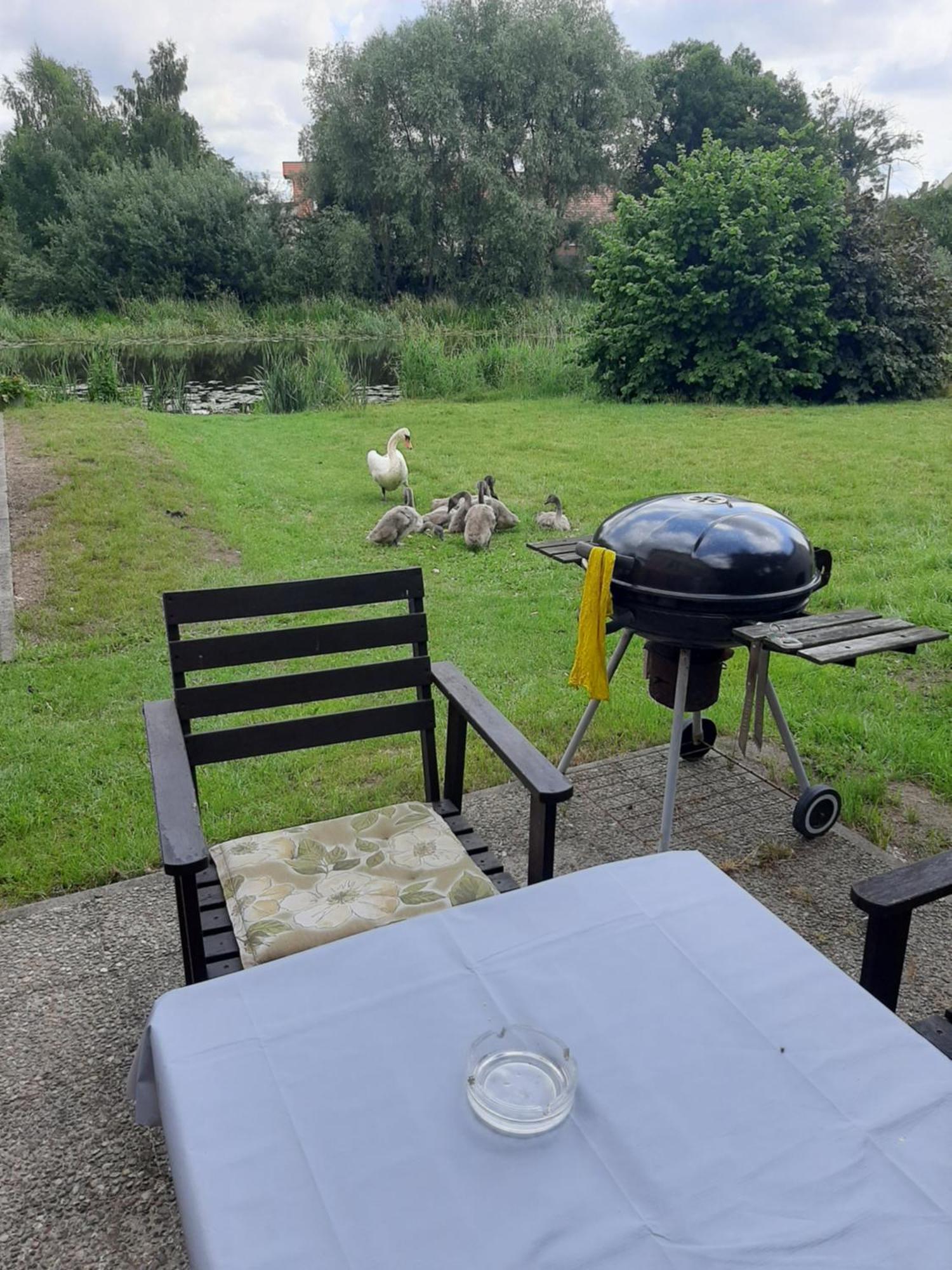 Apartament Nad Woda Marzecino Exteriör bild